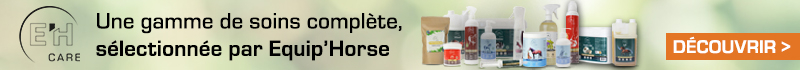 Category description