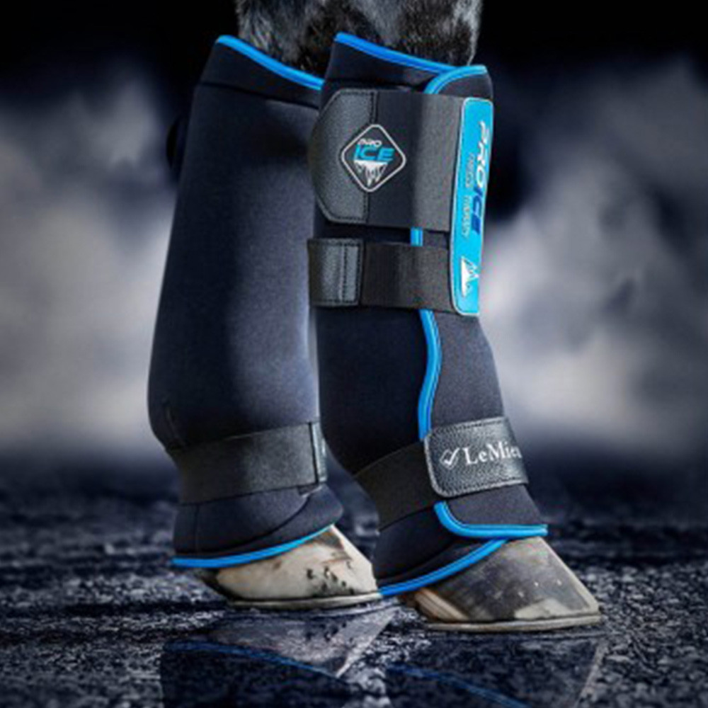 GUÊTRES REFRIGERANTES PRO ICE LEMIEUX Equip'Horse