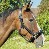 Ancien Licol En Cuir Et Laiton Pour Cheval - Taille Draft (occasion)