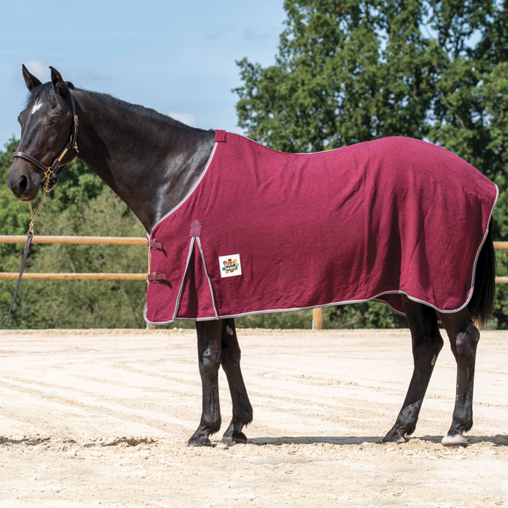 Chemise Femme Manches Longues Claude Clapot – Tenue équitation Anglaise, état Correct