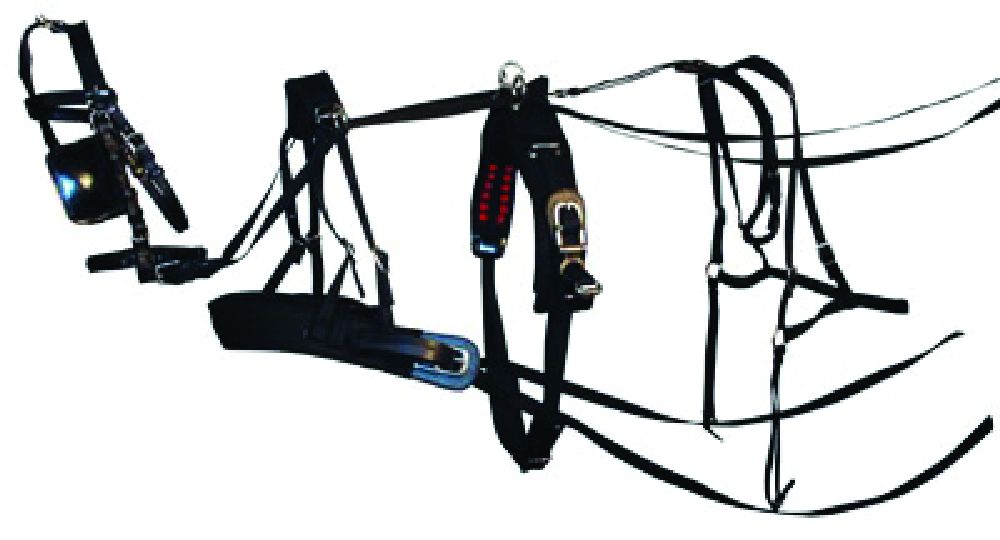 HARNAIS ANTICHUTE ET MAINTIEN - expert en EPI Taille harnais