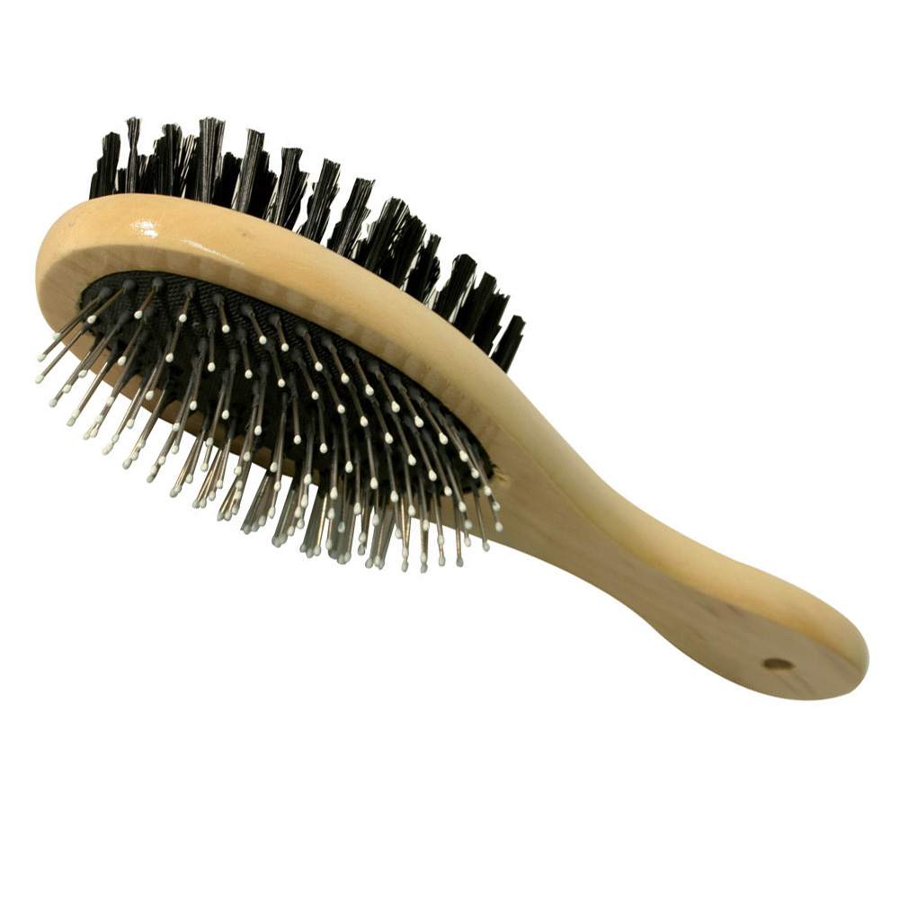 Arrosoir - Jardinage - 2L - Bleu - Matériau De Qualité Supérieure